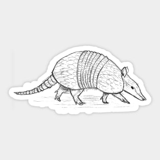 Armadillo Sticker